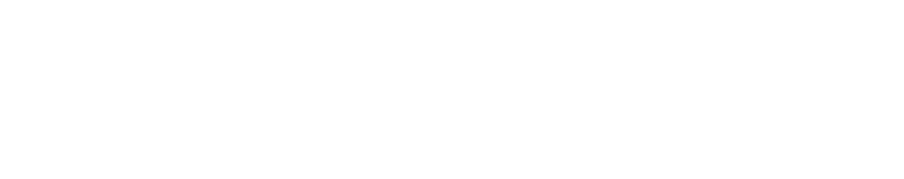 VNL (04-17) plan view